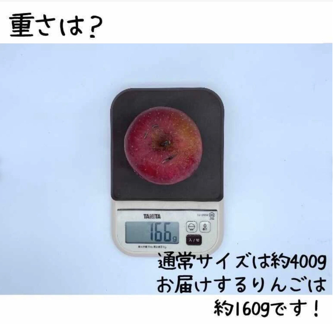 女心のように傷ついてしまったりんご9kg 2月下旬から3月発送