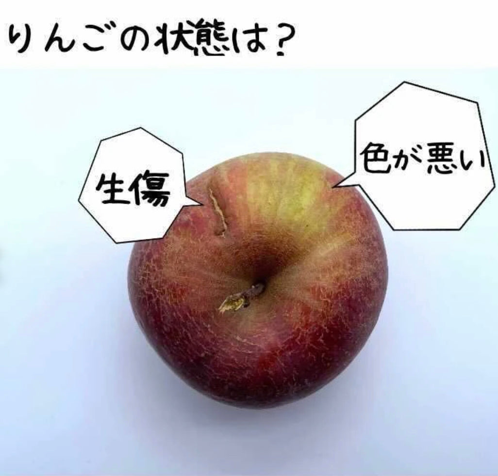 女心のように傷ついてしまったりんご9kg 2月下旬から3月発送