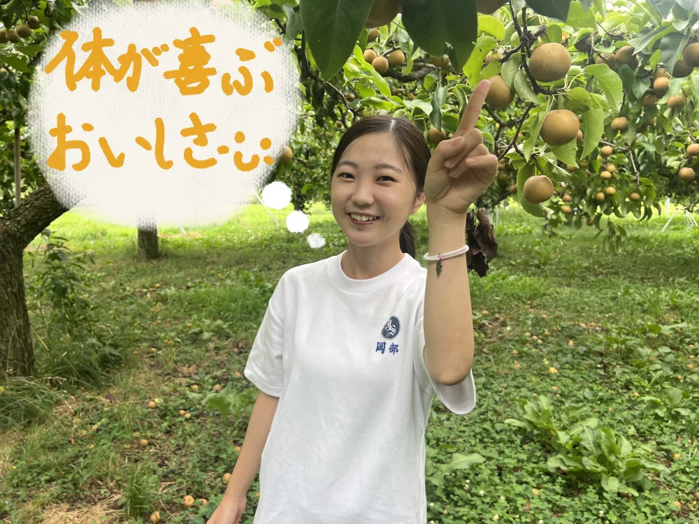 【9月上旬発送】豊水 贈答用・家庭用ミックス4.5kg