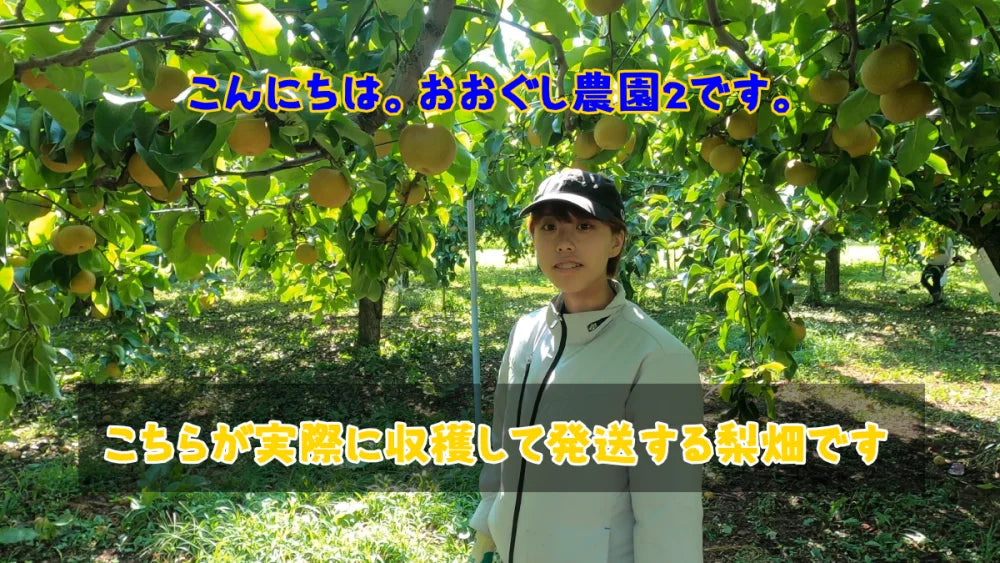【9月上旬発送】豊水 贈答用・家庭用ミックス4.5kg