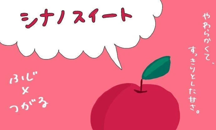 シナノスイート 家庭用4.5kg